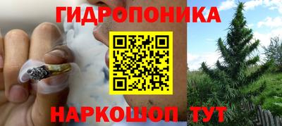 стаф Старая Купавна